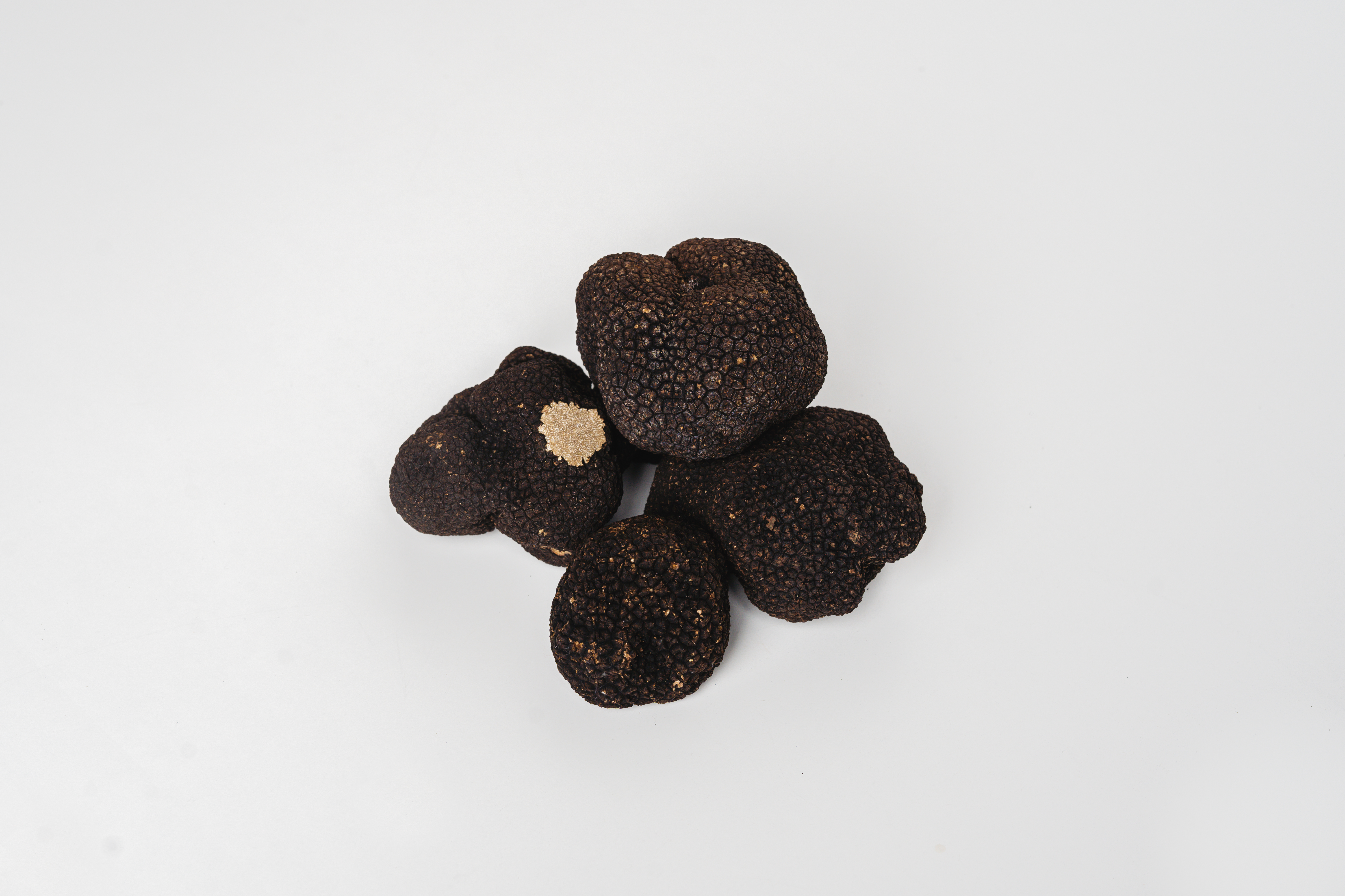 Trufas de Verano - Nunzia Truffle